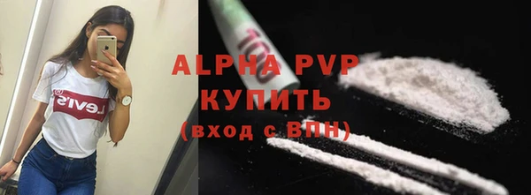 стаф Кинешма