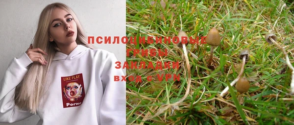 стаф Кинешма