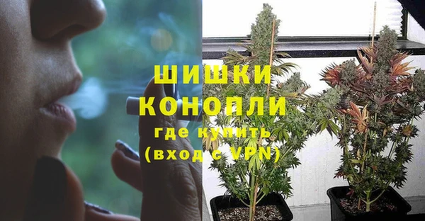 винт Карпинск